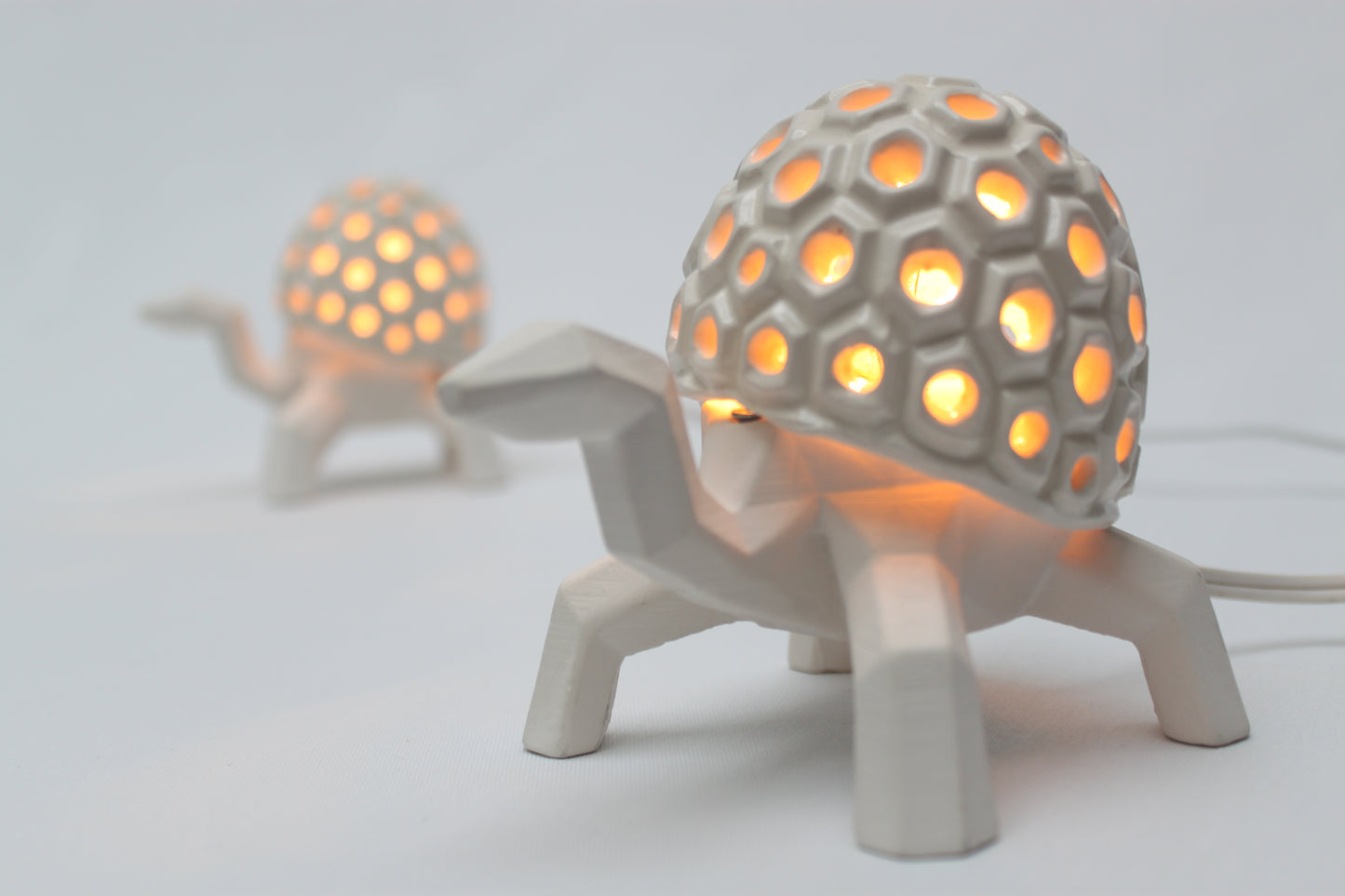 Casiopea la tortuga